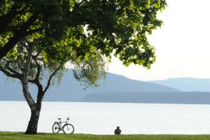 bellingham-bay.jpg