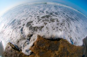 delray-fisheye-wave.jpg