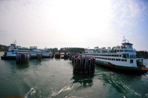 washington-ferries.jpg