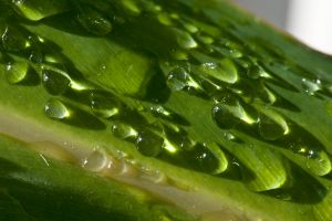 macr0-raindrops.jpg