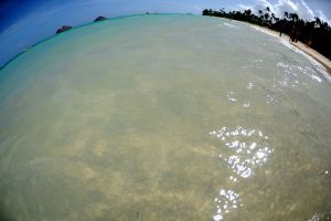 hawaii-fisheye-waterworld.jpg
